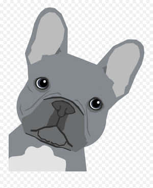 灰色法國鬥牛犬插圖，有大耳朵和白色胸斑。