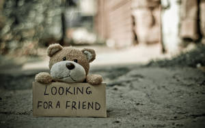 一隻泰迪熊喺行人路上舉住一塊寫住「Looking for a friend」嘅牌。