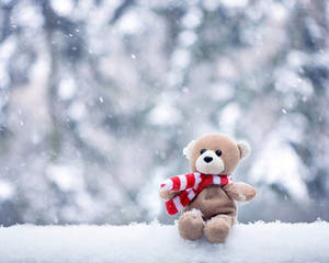 一隻戴著紅白圍巾的棕色泰迪熊在降雪期間坐在雪地裡。 — 可愛熊 壁紙