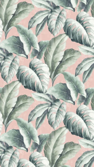 粉紅背景上柔和綠色的熱帶葉片圖案壁紙 — 美學 壁紙