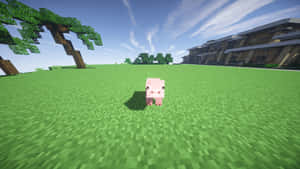 一隻粉紅色豬在Minecraft風格的草地上，有方塊狀的樹木和建築物。