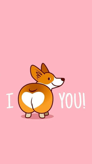 可愛的卡通柯基犬，臀部呈心形，文字 I YOU！ — 狗 壁紙
