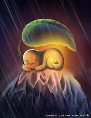 菊草葉在雨中睡在發光的葉子傘下。