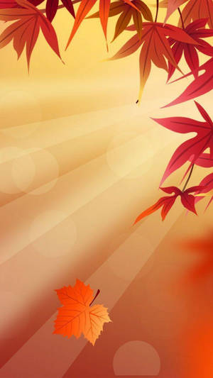 落下的楓葉襯托金色陽光背景，頂部由紅色楓葉框住。