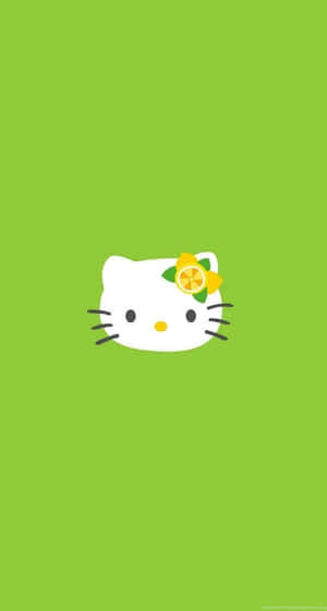 Hello Kitty 戴檸檬蝴蝶結，綠色背景