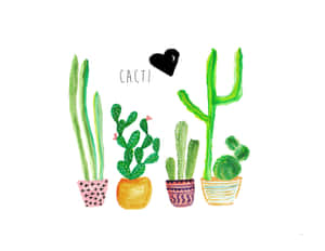 五盆盆栽仙人掌插圖，帶有彩色圖案花盆，以及「cacti」字樣上方有一個黑色心形。