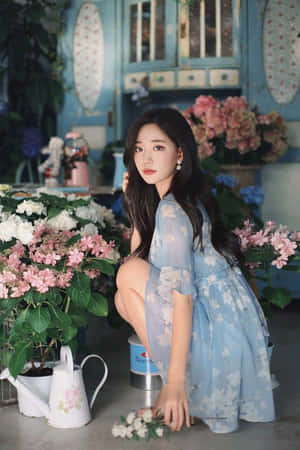 可愛美學圖片 — 型格動態圖 壁紙