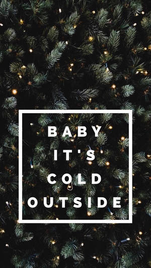帶有童話燈光和文字「baby it's cold outside」的松樹枝