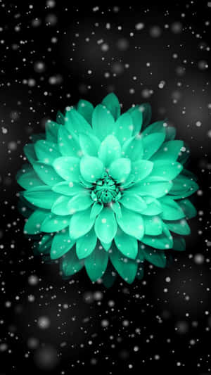 一朵發光的綠松色花朵，周圍漂浮著雪狀顆粒。 — 唯美花朵動圖 壁紙