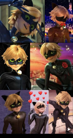 Cat Noir 以多種姿勢穿著他的黑色超級英雄服裝，擁有綠色眼睛和貓耳朵。 — 可愛 壁紙