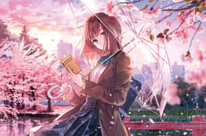 動漫女孩在櫻花下用透明雨傘看書，夕陽西下。