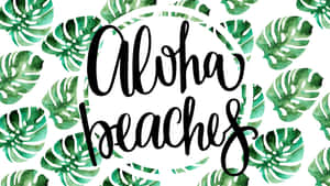 白色背景上，綠色龜背竹葉環繞的黑色「Aloha beaches」文字。