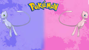 兩隻 Mewtwo 寶可夢漂浮在紫色和粉紅色背景上，帶有寶可夢標誌。