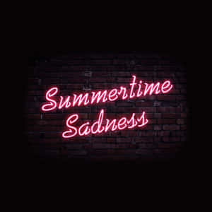 夜間深色磚牆上寫著「Summertime Sadness」的粉紅色霓虹燈牌。 — 霓虹 壁紙