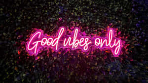 粉紅色霓虹燈牌寫著 Good vibes only 在葉牆上