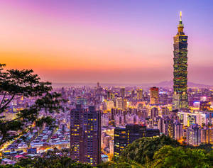 日落時分的台北城市景觀，台北101塔樓亮燈，前景有綠樹 — 夜景城市 壁紙