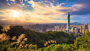 台北城市景觀上的夕陽，前景有台北101大樓和綠色山丘。 — 日落大道 壁紙