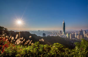 台北城市景觀的日出，前景有台北101和綠色山坡。 — 唐人街 GIF 壁紙