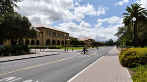 騎單車人士在大學校園道路上，有棕櫚樹和歷史建築。