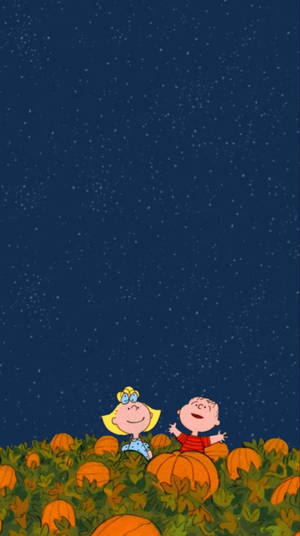 兩個小孩喺南瓜田仰望星星