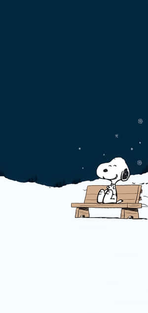 史努比坐在雪夜長椅上，星空下