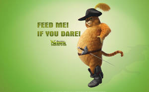 來自史力加的海盜貓角色，手持劍，附有「Feed Me! If You Dare!」字樣。 — 卡通 壁紙