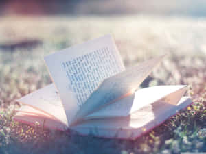打開的書放在陽光下的草地上