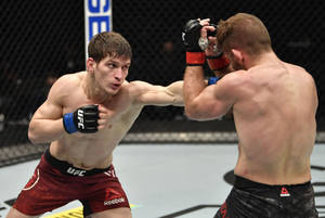 兩名男性MMA拳手在八角形鐵籠內進行職業比賽時互相出拳。