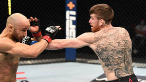 兩名男性拳手戴著MMA手套在八角籠內互相出拳。 — 冠軍 壁紙
