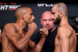 兩位男性MMA拳手在UFC賽事中以戰鬥姿勢對峙。