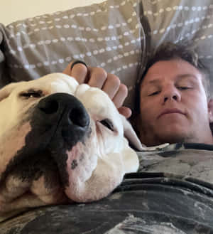 男子和鬥牛犬在有圖案枕頭的沙發上一起睡覺。