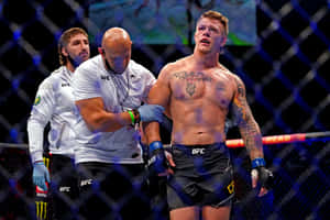 UFC拳手喺比賽後接受醫療人員協助。 — 運動 壁紙