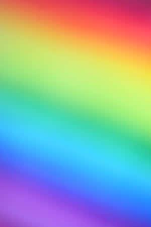 同性戀背景 — 同性戀 GIF 壁紙