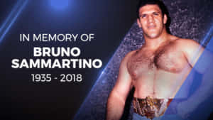 Bruno Sammartino 在致敬照片中佩戴冠軍腰帶。 — 摔角 GIF 壁紙