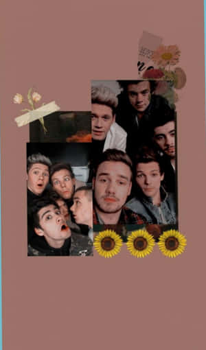 One Direction拼貼畫，向日葵在粉紅色背景上。