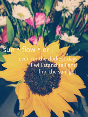 一朵向日葵，上面寫著「sun flow er | 即使在最黑暗的日子裡，我也會挺直腰桿，找到陽光」
