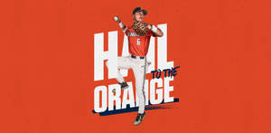 身穿橙色球衣的棒球投手投出球，並帶有 'Hail to the Orange' 文字。