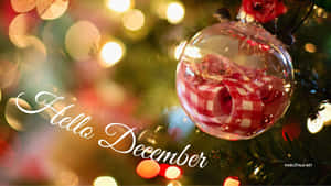 聖誕樹上一個紅白格子裝飾品，帶有發光的燈光和「Hello December」文字。