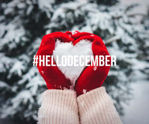 戴紅色手套的雙手在雪地樹木前捧著一個雪心。 — 十二月 GIF 壁紙