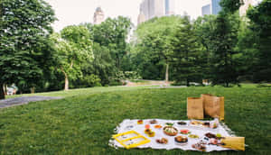 在綠色公園的毯子上鋪開的彩色野餐，背景有城市建築。