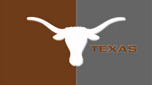 白色長角牛頭標誌，帶有 'TEXAS' 文字，位於棕色和灰色分割背景上。
