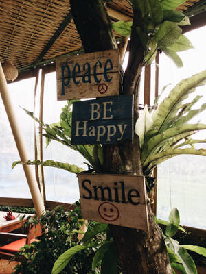 三個帶有peace happy smile信息的木牌掛在植物茂盛的咖啡館的樹上。