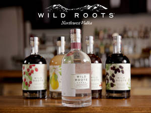 五瓶帶有水果標籤的Wild Roots伏特加酒瓶在木製吧檯上。