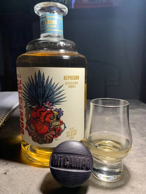 Mi Campo龍舌蘭酒瓶帶有骷髏標籤，旁邊是品酒杯和品牌石頭。