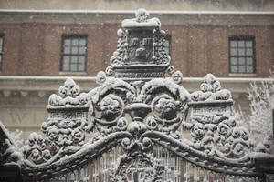冬季下雪時，磚砌建築前白雪覆蓋的裝飾鐵門。 — 建築 壁紙