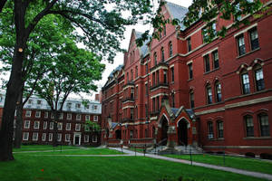紅磚大學建築，哥德式建築風格，周圍環繞著綠樹和草坪。
