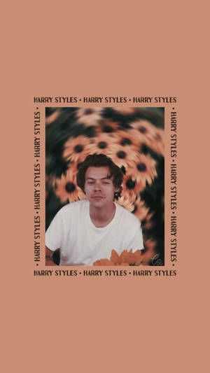 Harry Styles 身穿白色T恤，身後有向日葵，蜜桃色背景，帶文字邊框。