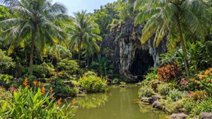熱帶花園，有池塘、棕櫚樹和岩石洞穴入口，在明亮的陽光下