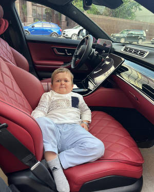 一個幼兒坐在豪華車輛內的紅色皮革汽車座椅上。 — 汽車 壁紙