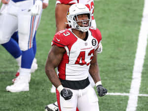 身穿 Cardinals 球衣的美式足球員在球場上慶祝
